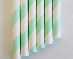 OUTLET: ca. 6.200 rietjes 20 cm mint