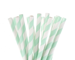 Bulkverpakking rechte papieren rietjes streep mint - 20 cm
