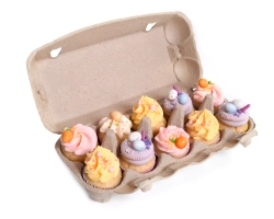Eierdozen 10 gaten pulp